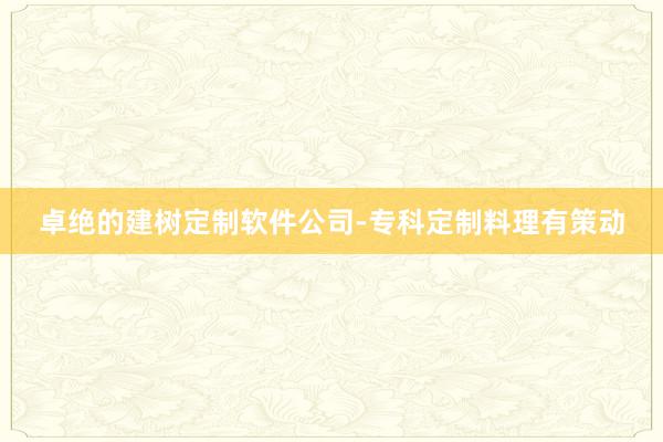 卓绝的建树定制软件公司-专科定制料理有策动
