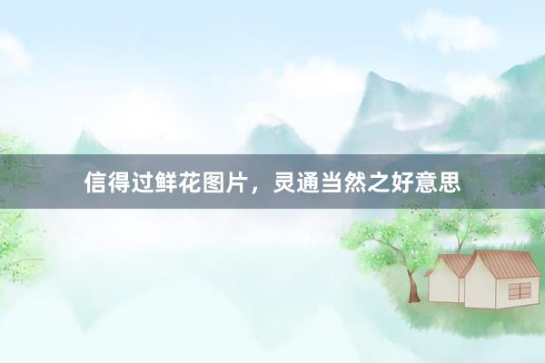 信得过鲜花图片，灵通当然之好意思